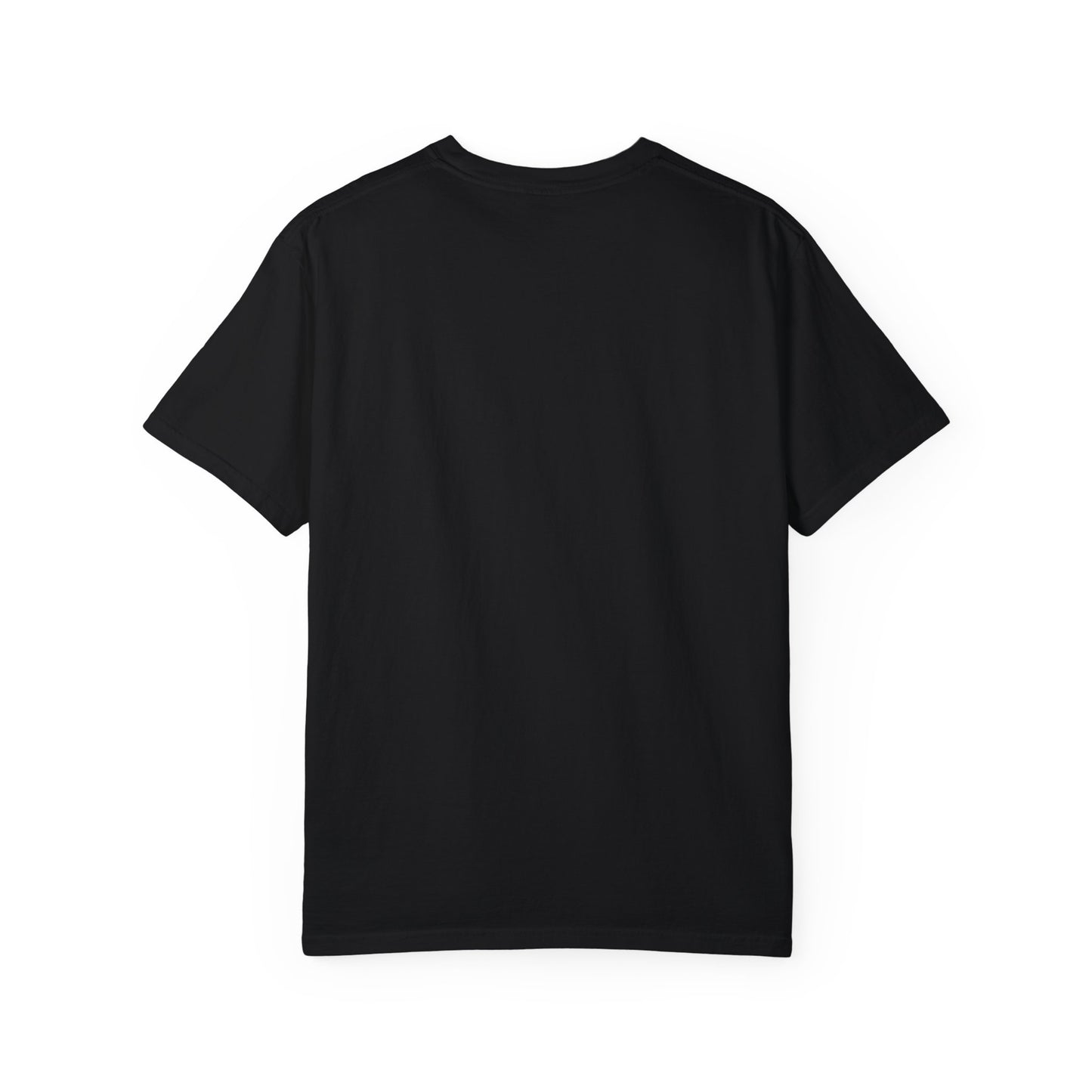 Phinz Up (V2) Unisex Garment-Dyed T-shirt