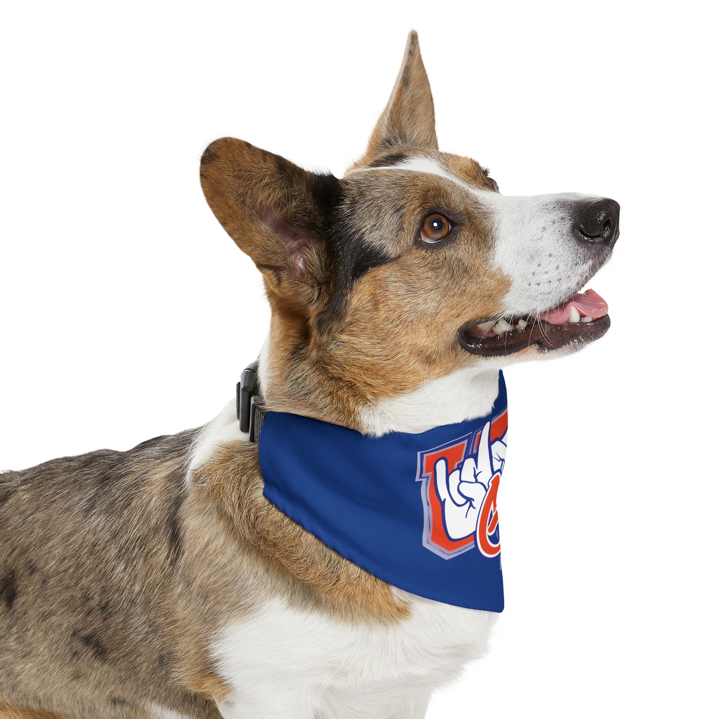 Pet Bandana Collar UF (Rock On) Gators Hands_V2